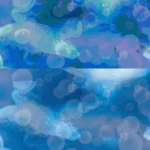 海柄➁