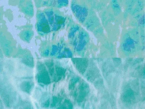 海柄