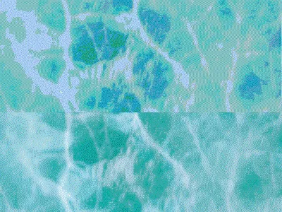 海柄